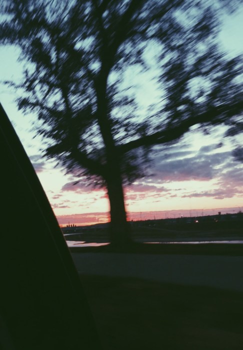 Processed with VSCO with p5 preset